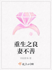 重生之良妻不善