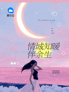 情城知暖伴余生乔知暖墨司霆